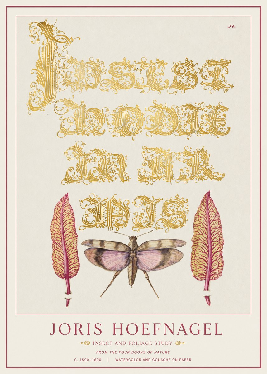 Joris Hoefnagel Insect and Foliage Study No1 - Poster
