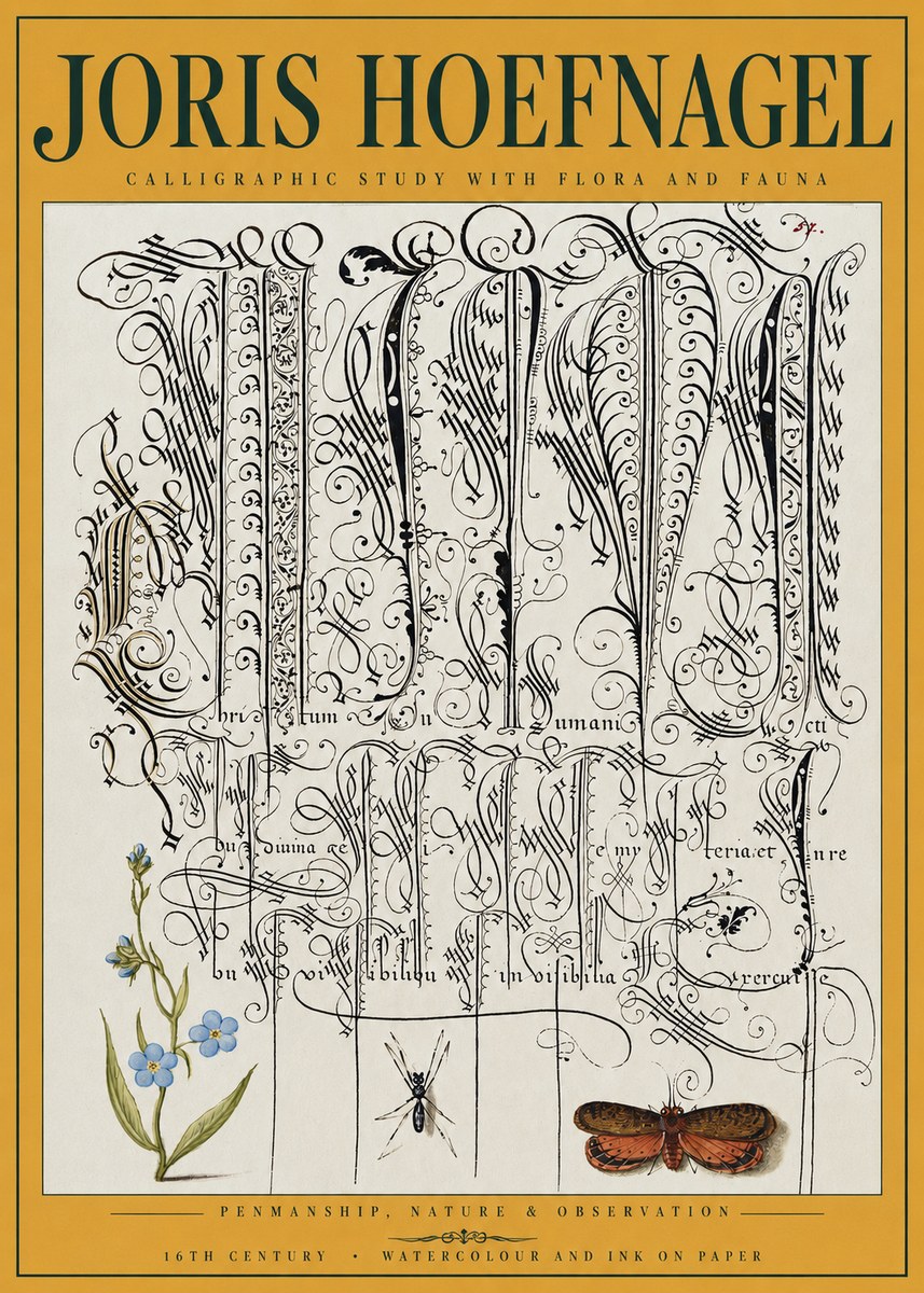 Joris Hoefnagel Calligraphic Study with Flora and Fauna No3 - Poster