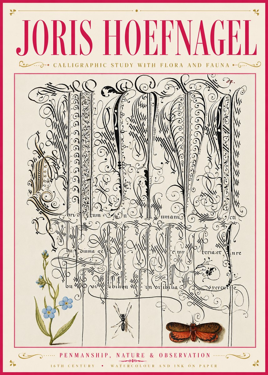 Joris Hoefnagel Calligraphic Study with Flora and Fauna No6 - Poster
