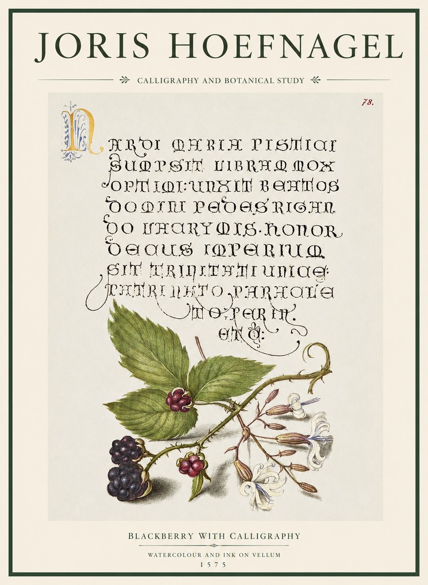 Joris Hoefnagel Calligraphy and Botanical Study II No5 - Poster