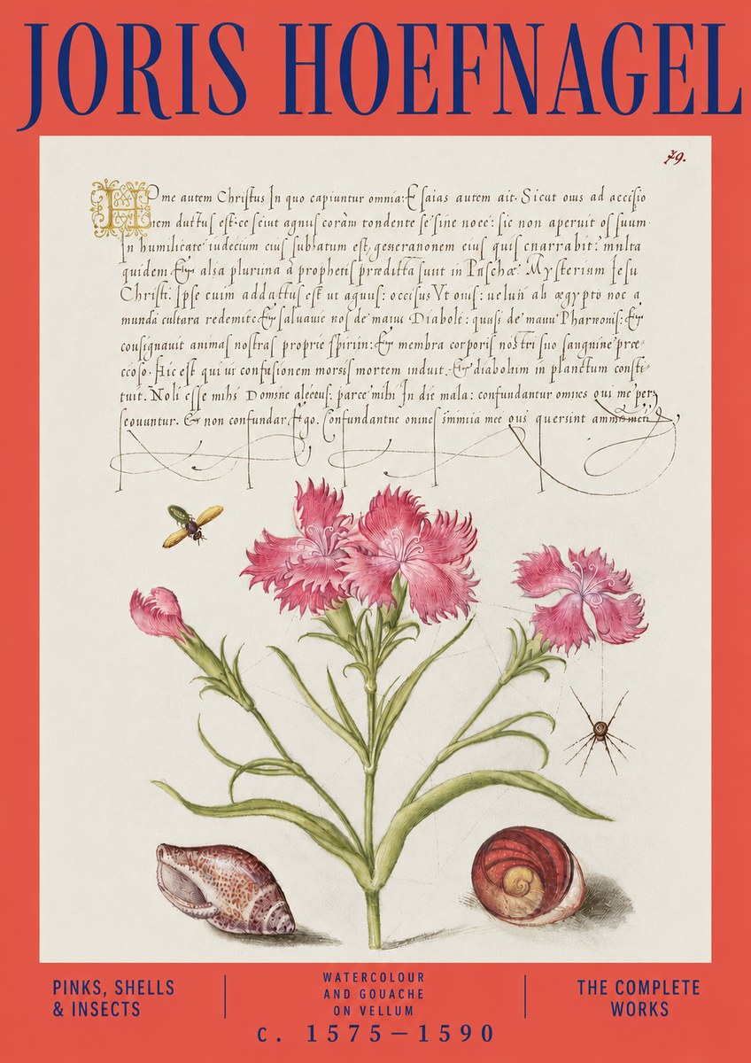 Joris Hoefnagel Pinks, Shells & Insects No3 - Poster