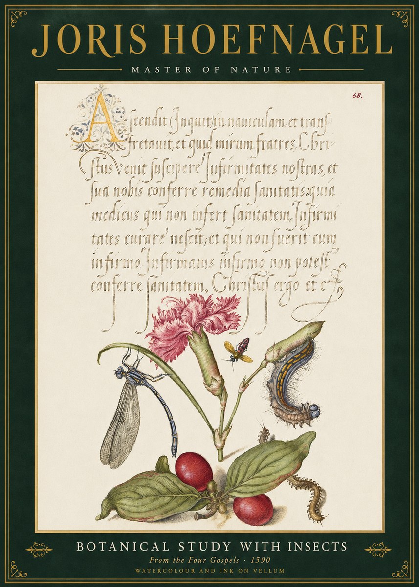 Joris Hoefnagel Botanical Study with Insects No3 - Poster