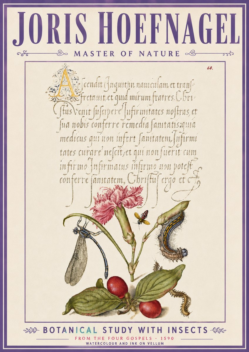 Joris Hoefnagel Botanical Study with Insects No6 - Poster