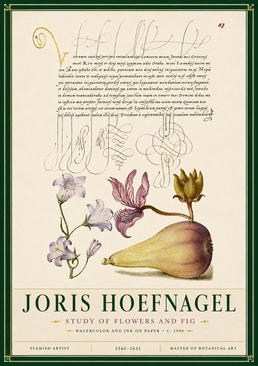Joris Hoefnagel Study of Plants II No6 - Poster