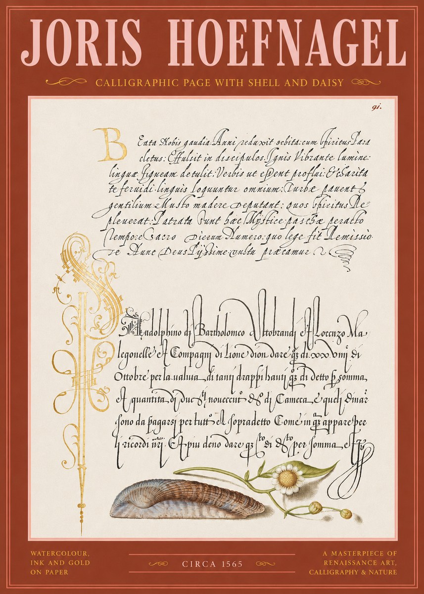 Joris Hoefnagel Calligraphic Page with Shell and Daisy No2 - Poster