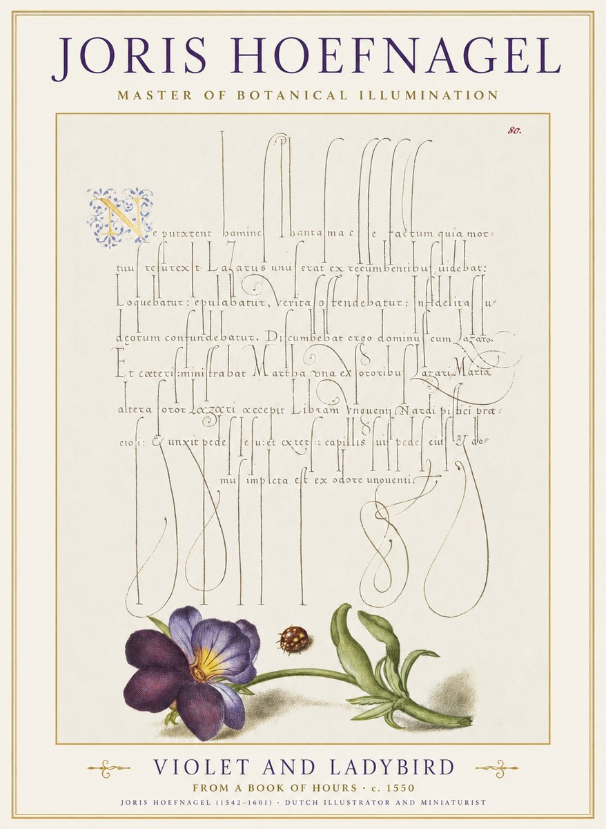 Joris Hoefnagel Violet and Ladybird No1 - Poster