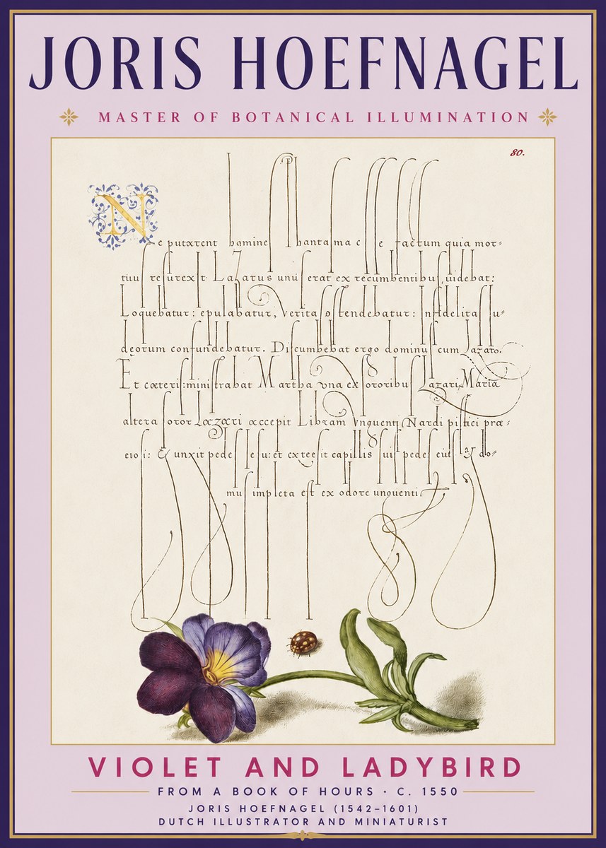 Joris Hoefnagel Violet and Ladybird No3 - Poster