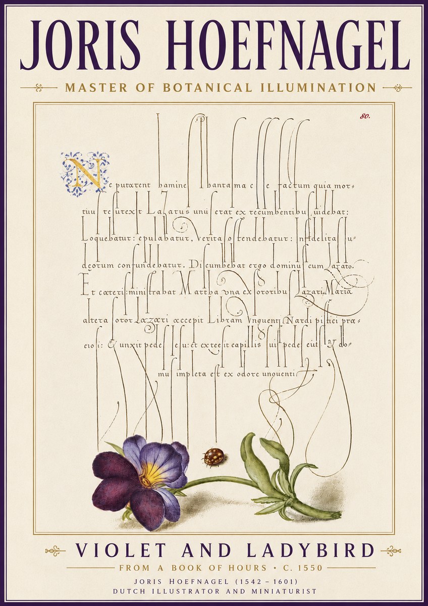 Joris Hoefnagel Violet and Ladybird No6 - Poster