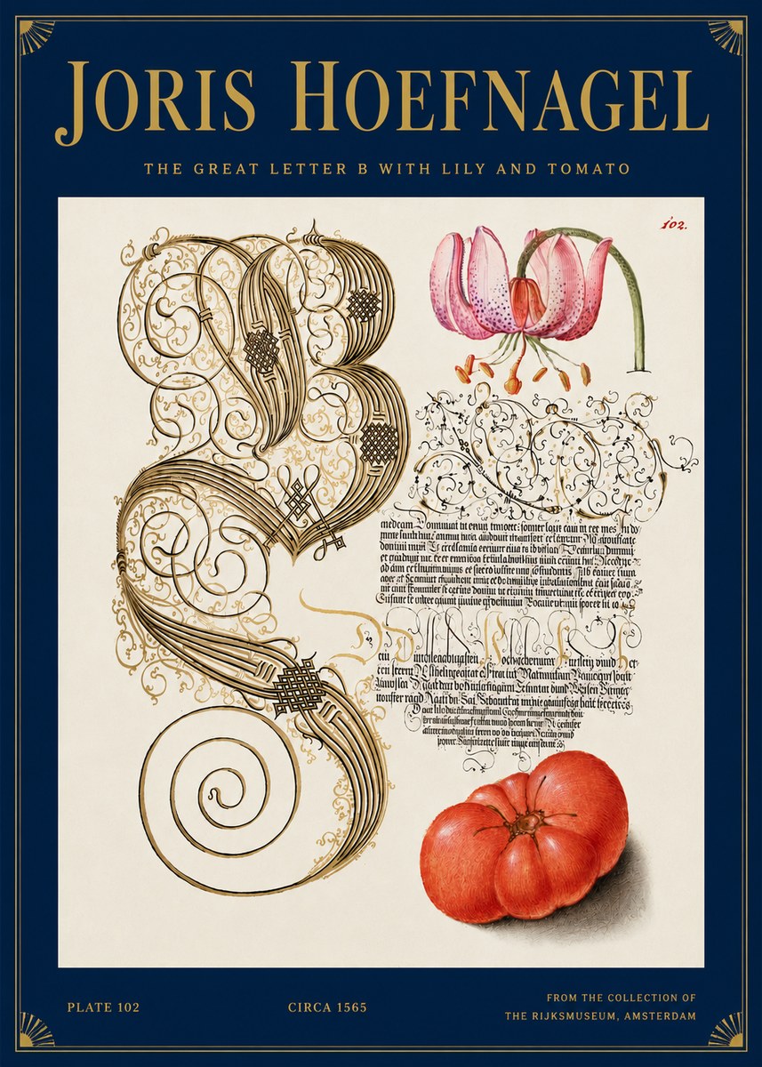 Joris Hoefnagel The Great Letter B with Lily and Tomato No3 - Poster