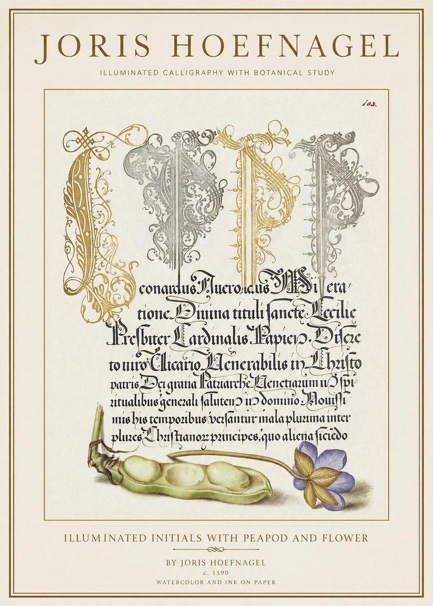 Joris Hoefnagel Illuminated Initials with Peapod and Flower No1 - Poster