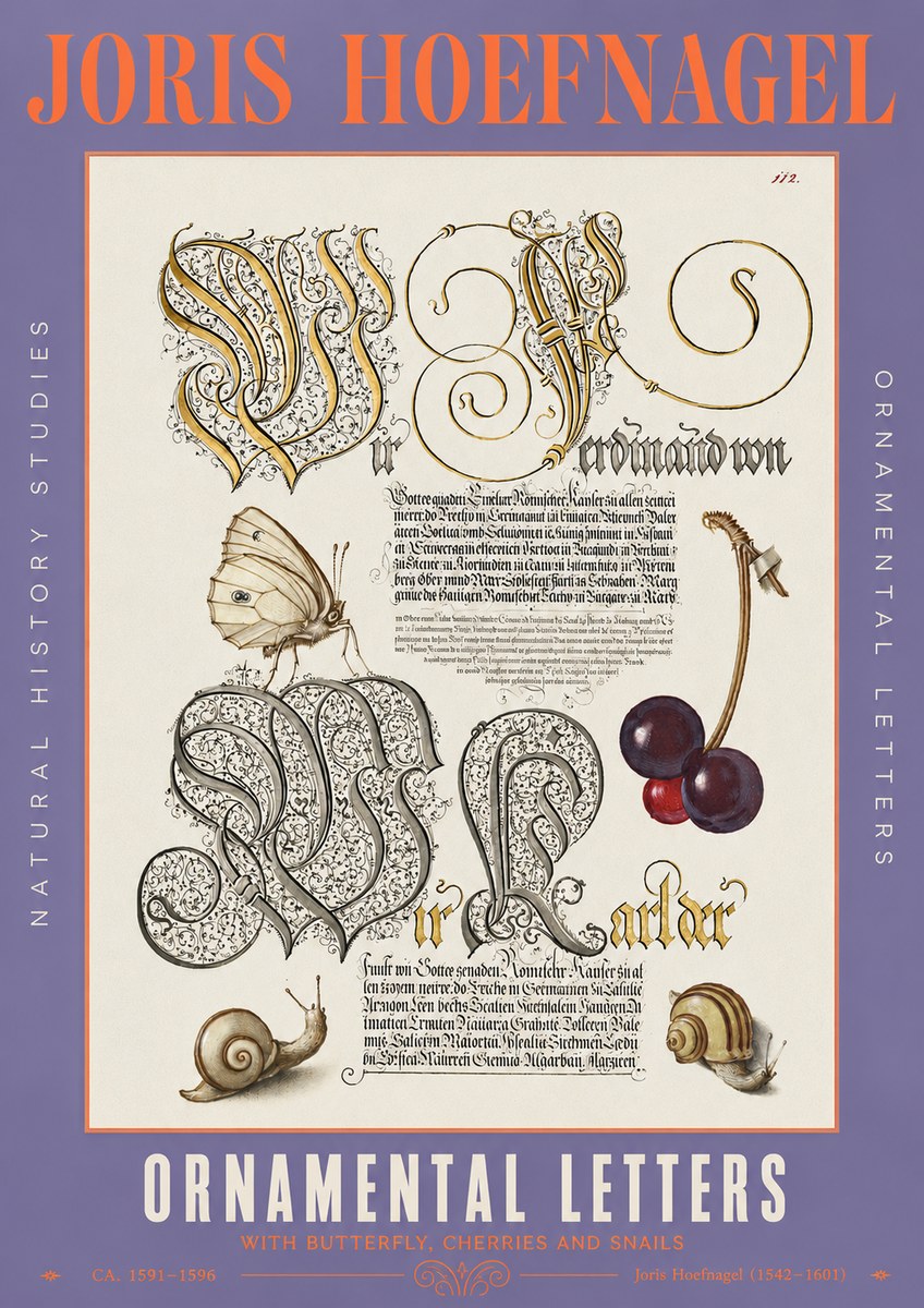 Joris Hoefnagel Ornamental Letters with Butterfly, Cherries and Snails No3 - Poster