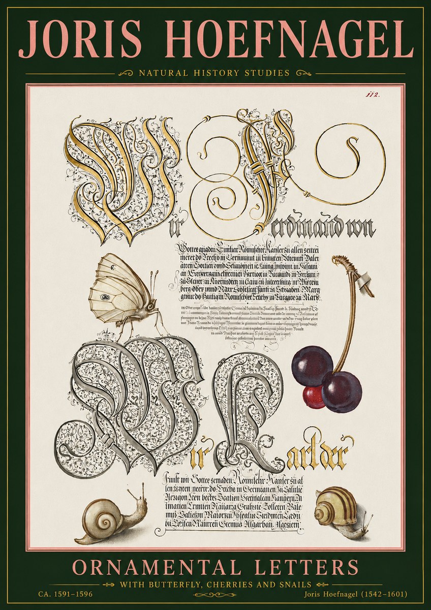 Joris Hoefnagel Ornamental Letters with Butterfly, Cherries and Snails No5 - Poster