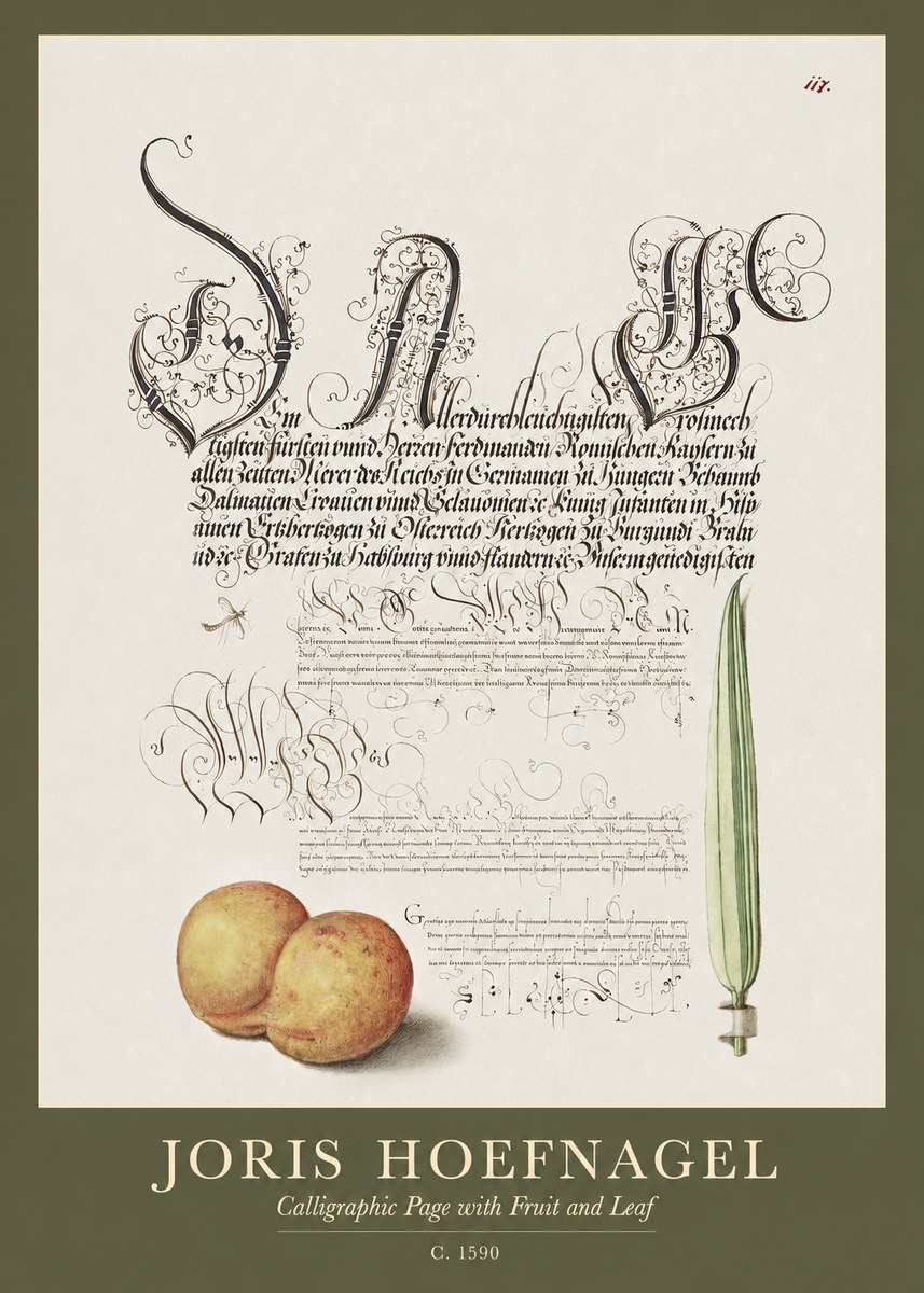 Joris Hoefnagel Calligraphic Page with Fruit and Leaf No1 - Poster
