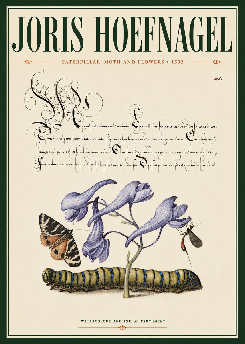 Joris Hoefnagel Caterpillar, Moth and Flowers No4 - Poster
