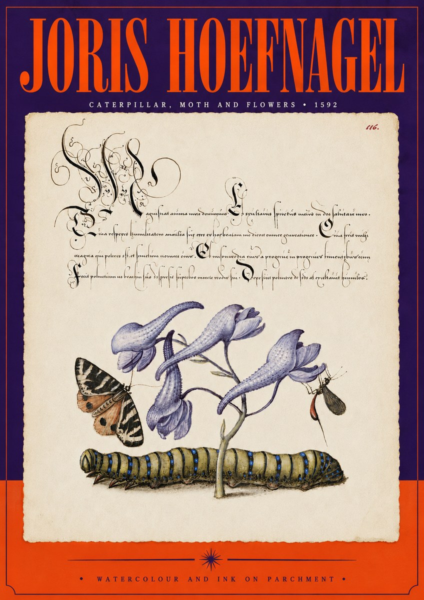 Joris Hoefnagel Caterpillar, Moth and Flowers No5 - Poster