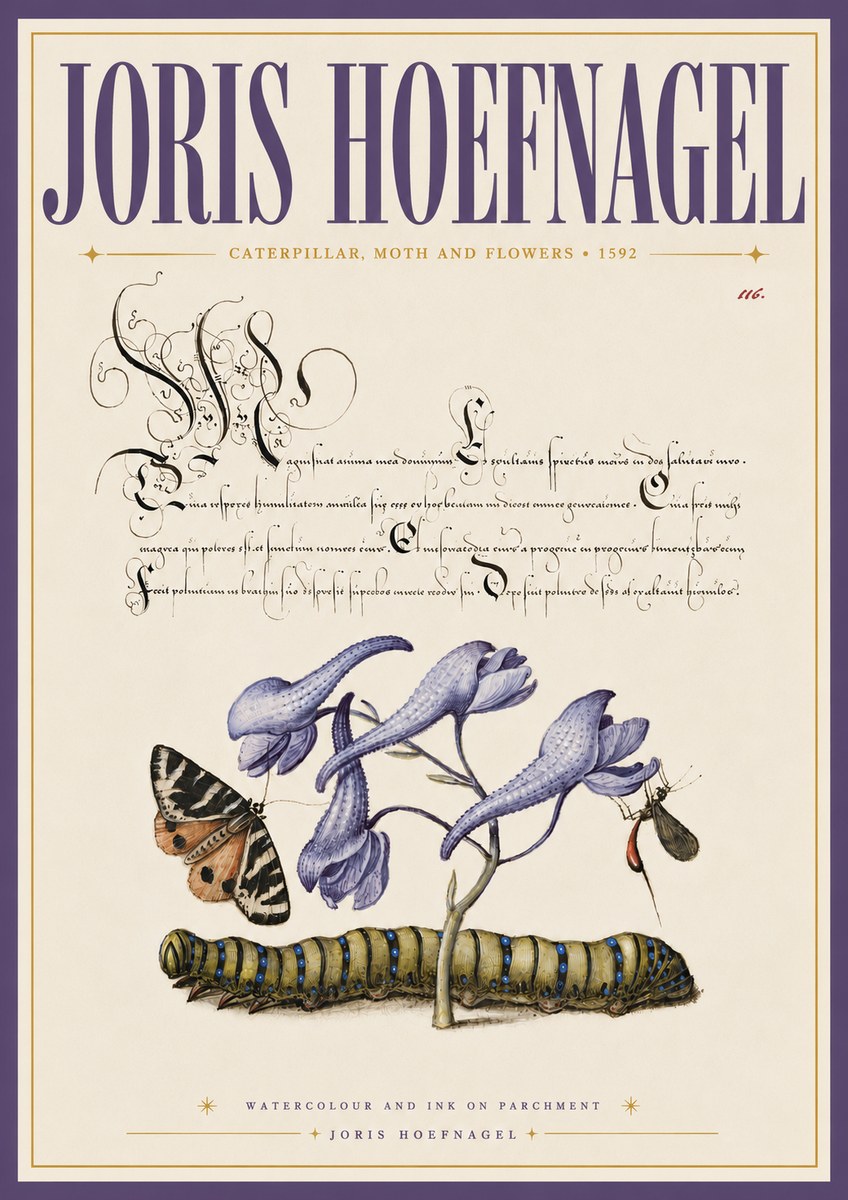 Joris Hoefnagel Caterpillar, Moth and Flowers No6 - Poster
