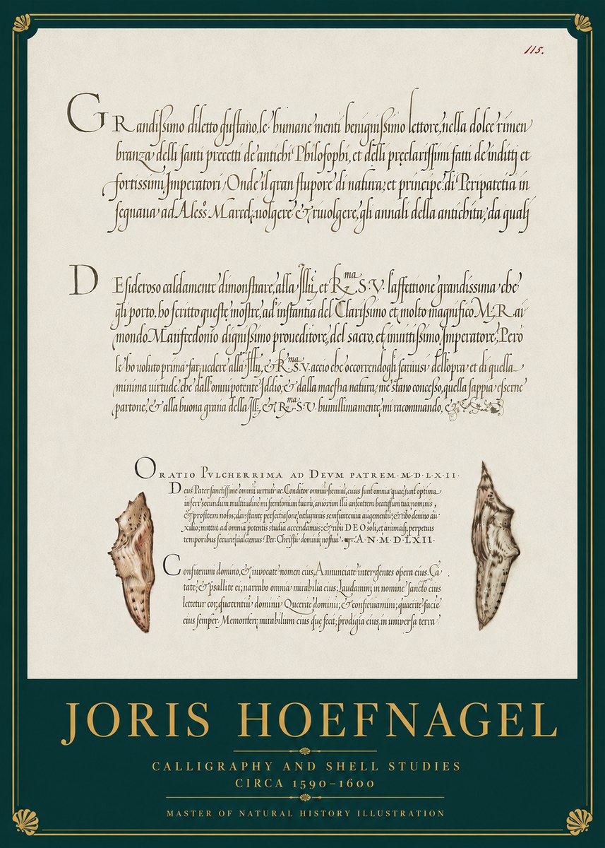 Joris Hoefnagel Study of Shells and Calligraphy No4 - Poster