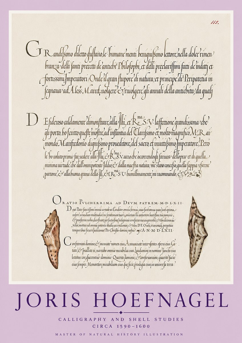 Joris Hoefnagel Study of Shells and Calligraphy No6 - Poster