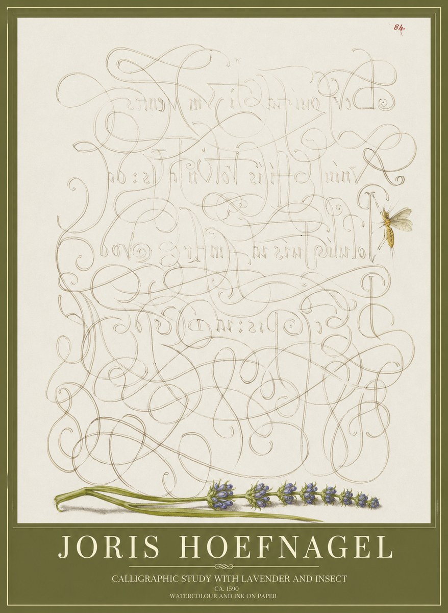 Joris Hoefnagel Calligraphic Study with Insect and Flower No5 - Poster