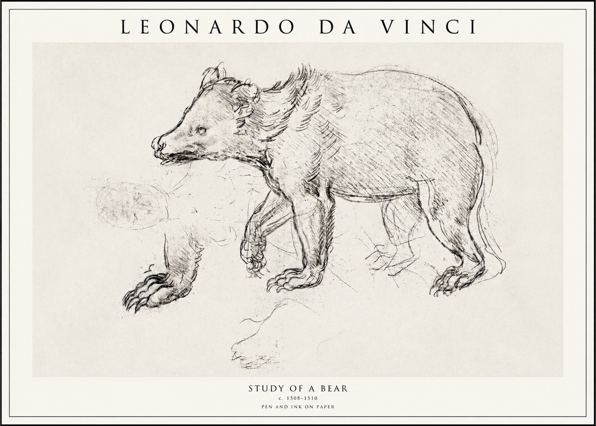 Leonardo da Vinci Study of a Bear No1 - Poster