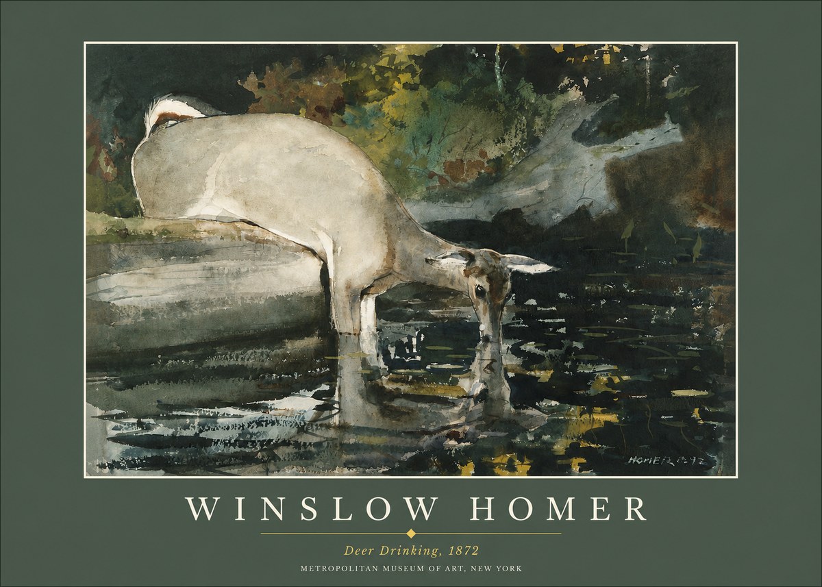 Winslow Homer Deer Drinking No2 - Poster