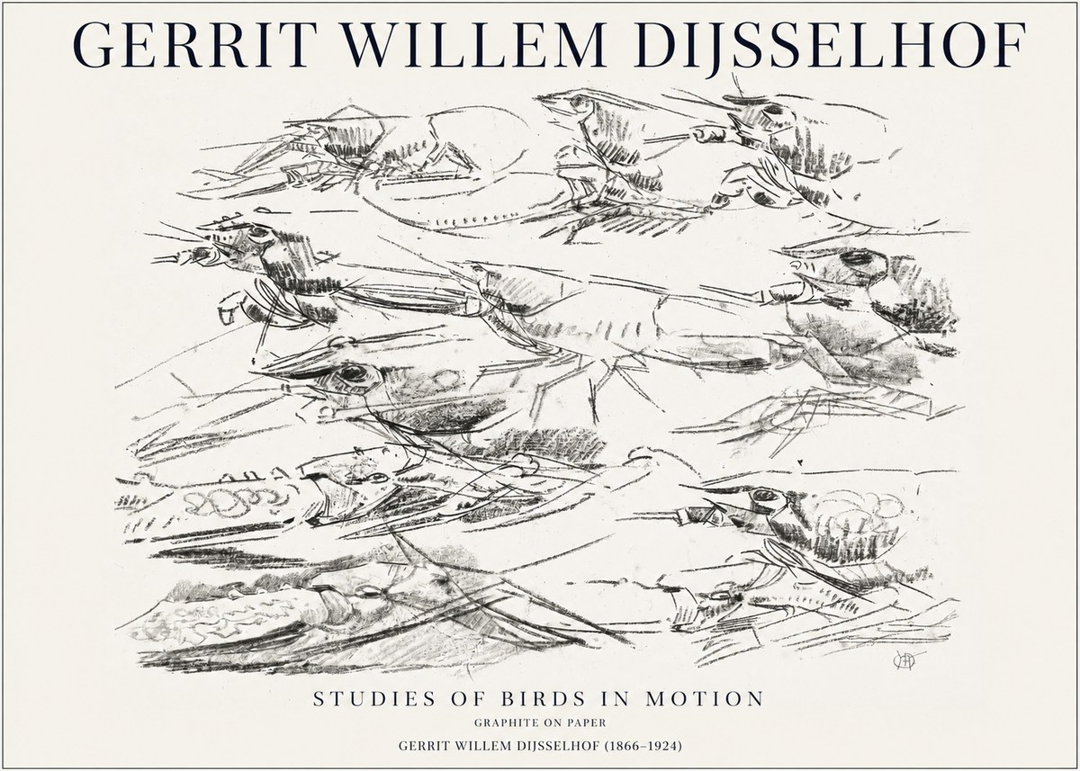 Gerrit Willem Dijsselhof Studies of Birds in Motion No1 - Poster