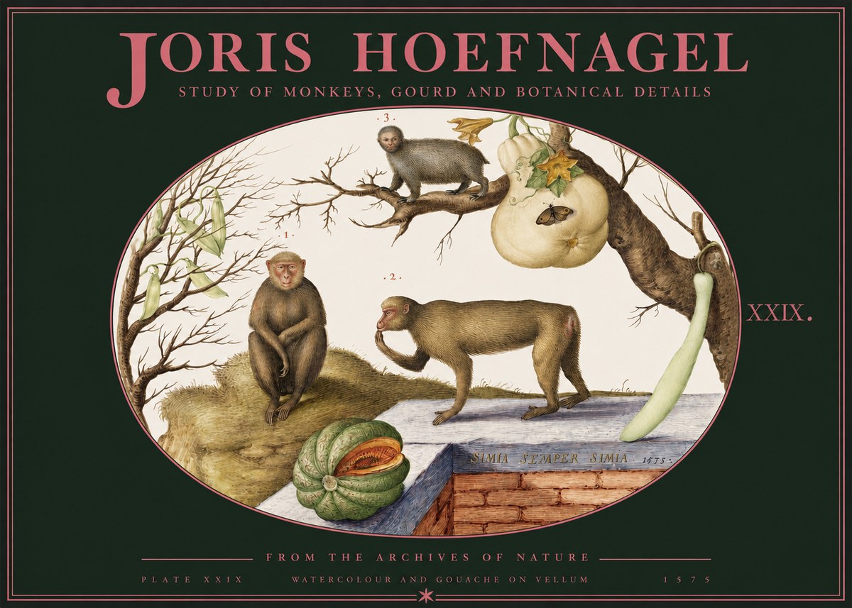 Joris Hoefnagel But Always a Monkey, Always a Monkey. Plate Xxix No3 - Poster