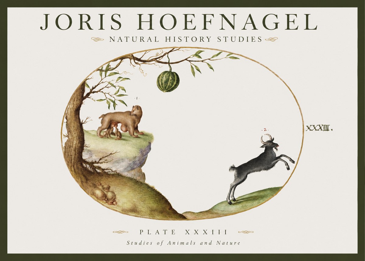 Joris Hoefnagel Plate Xxxiii No1 - Poster