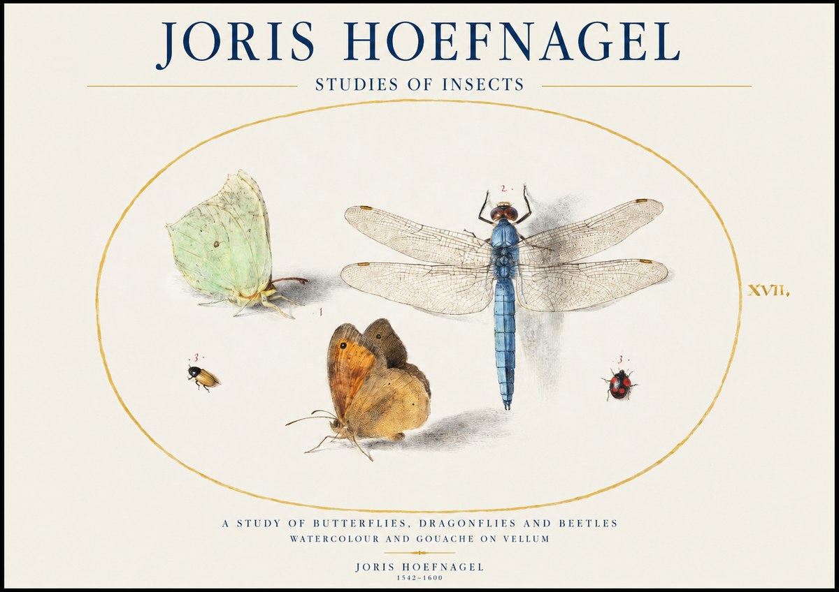Joris Hoefnagel A Study of Butterflies, Dragonflies and Beetles No1 - Poster