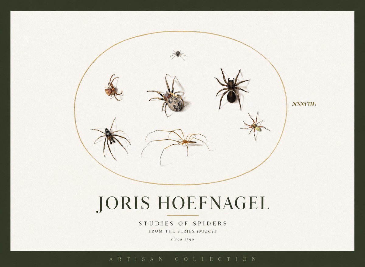 Joris Hoefnagel Studies of Spiders I No2 - Poster