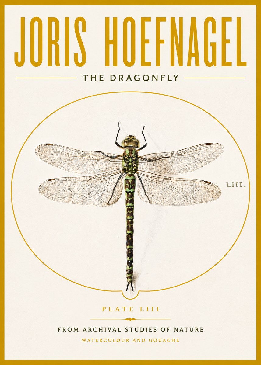 Joris Hoefnagel The Dragonfly No4 - Poster