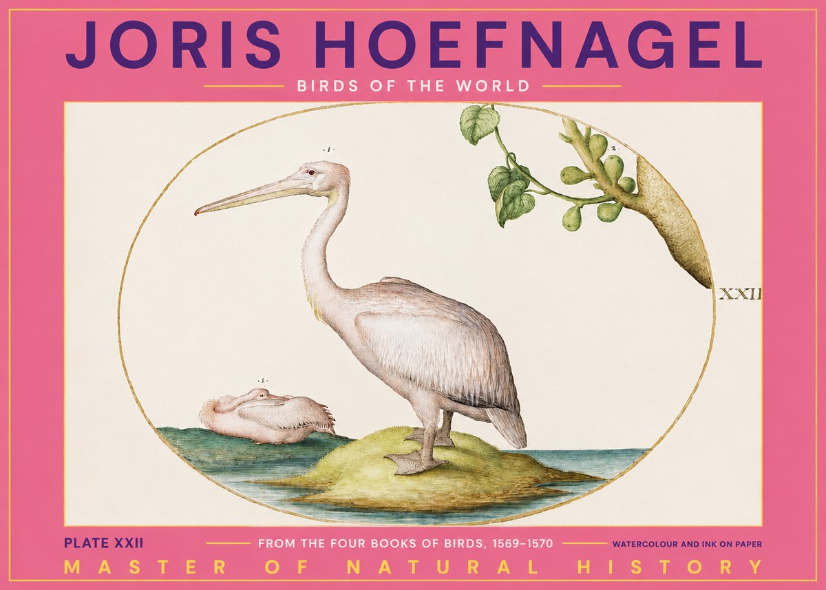 Joris Hoefnagel Plate Xxii No2 - Poster