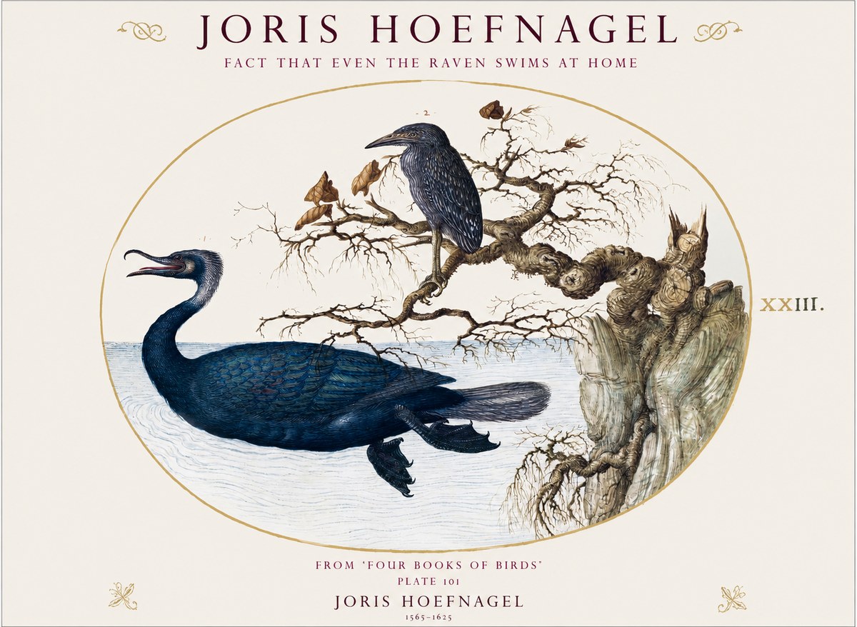 Joris Hoefnagel Fact That Even the Raven Swims at Home No1 - Poster