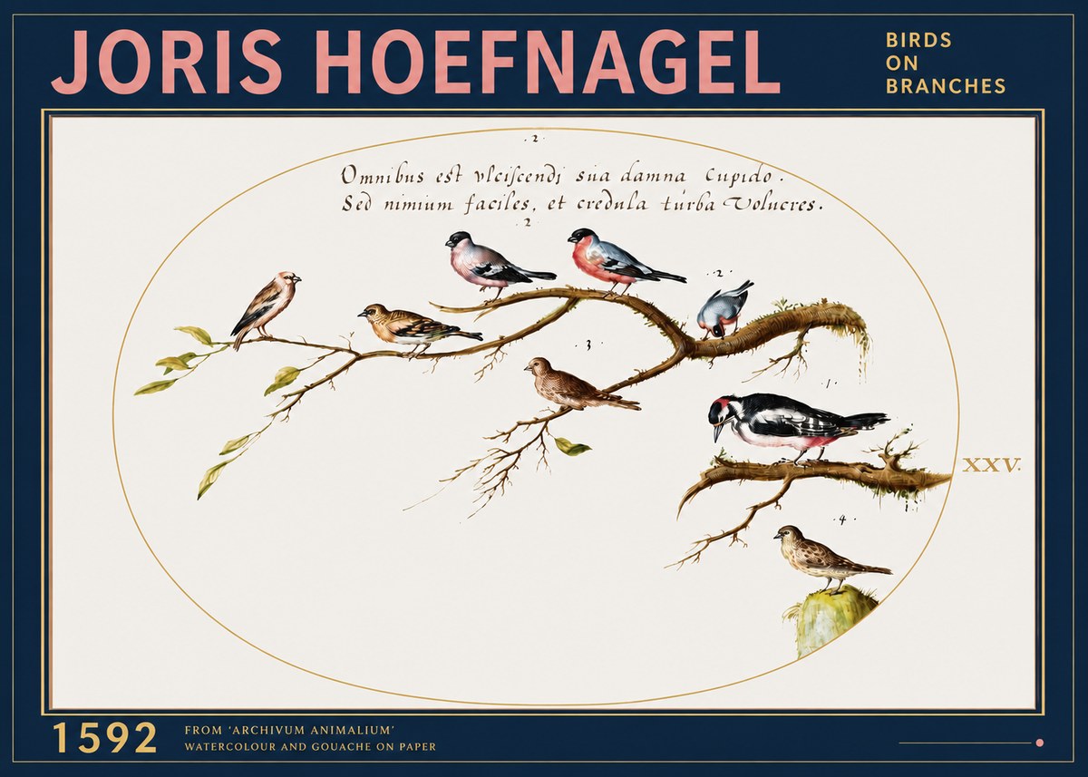 Joris Hoefnagel Birds on Branches No3 - Poster