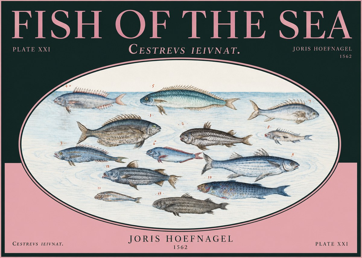 Joris Hoefnagel Fish of the Sea - Cestrevs Ieivnat. Plate Xxi No2 - Poster