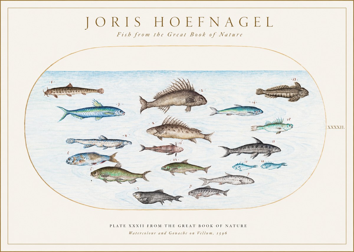 Joris Hoefnagel Fish from the Great Book of Nature No1 - Poster