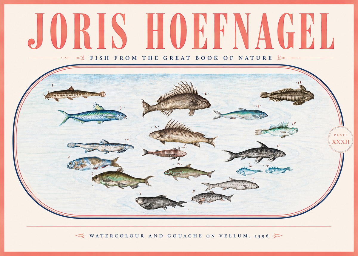Joris Hoefnagel Fish from the Great Book of Nature No5 - Poster