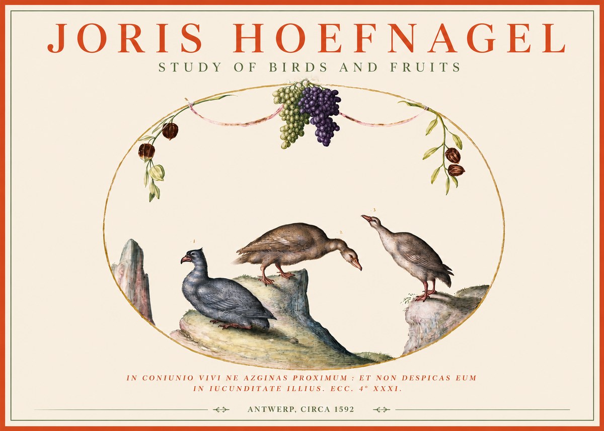 Joris Hoefnagel Three Birds with Grapes and Inscription No4 - Poster