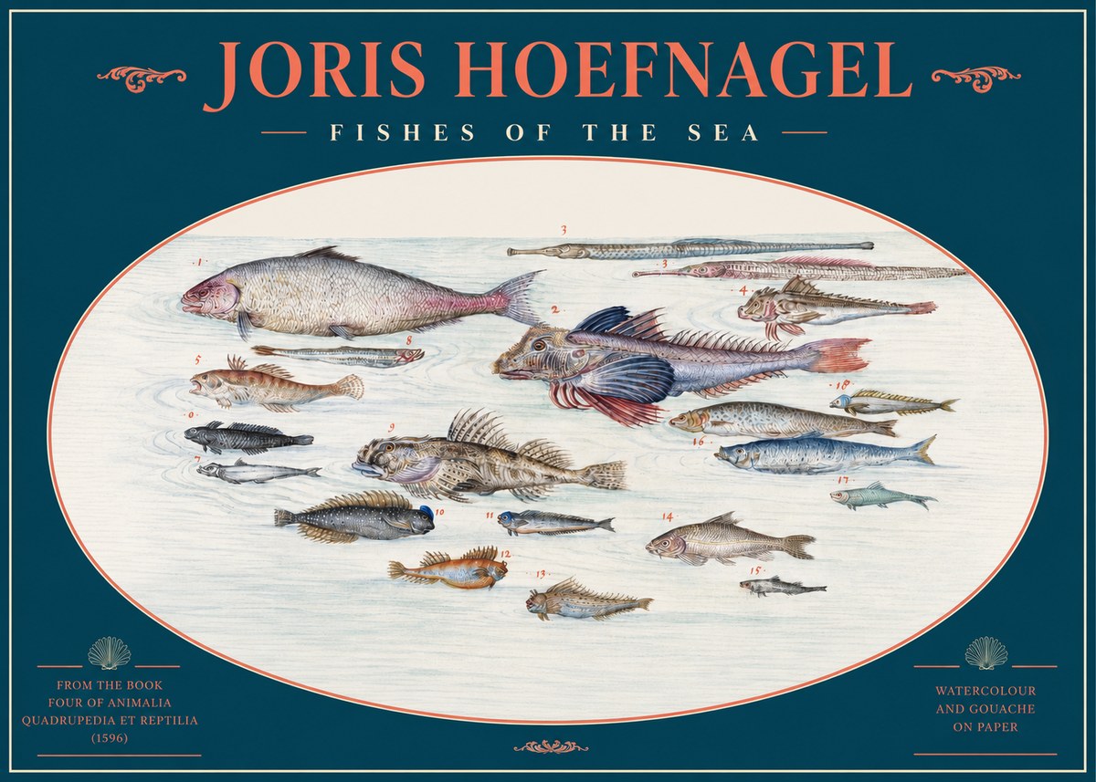 Joris Hoefnagel Fishes of the Sea III No2 - Poster