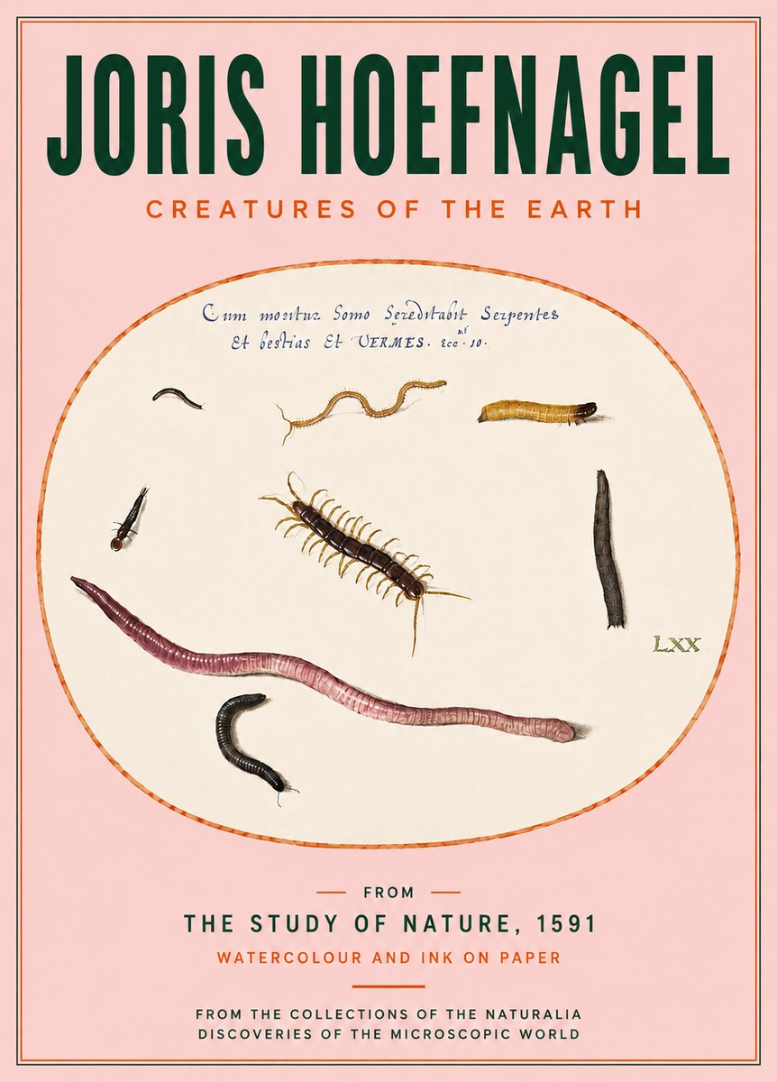 Joris Hoefnagel Creatures of the Earth II No4 - Poster
