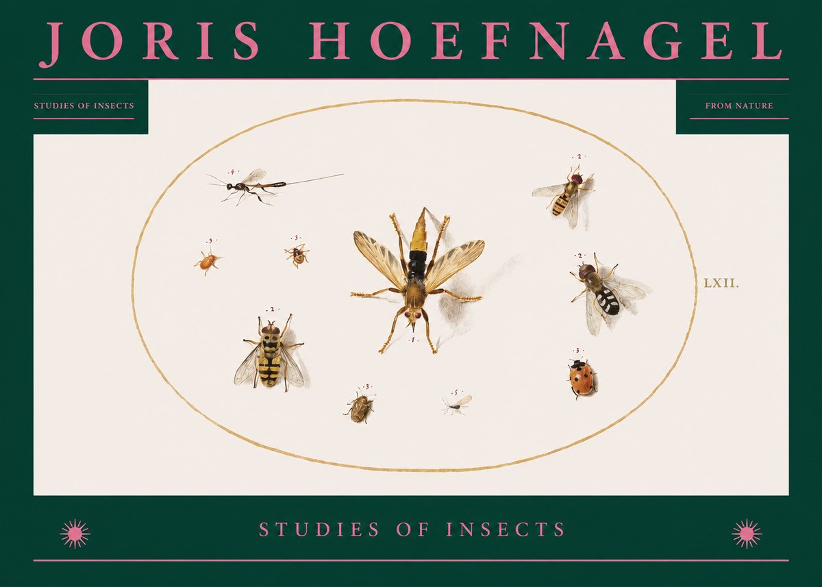 Joris Hoefnagel Studies of Insects IV No2 - Poster