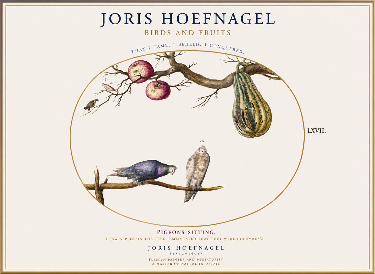 Joris Hoefnagel Pigeons Sitting. No1 - Poster
