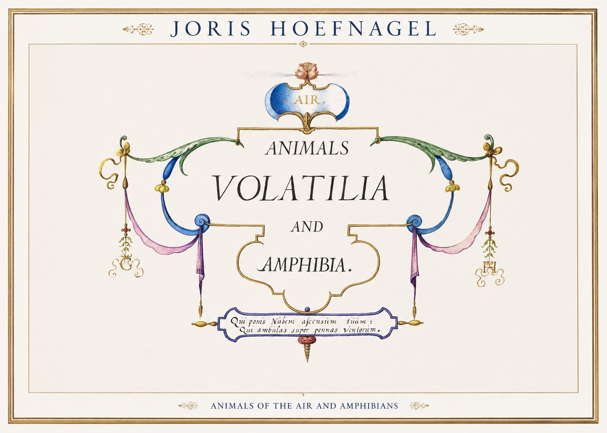 Joris Hoefnagel Animals Volatilia and Amphibia. No1 - Poster