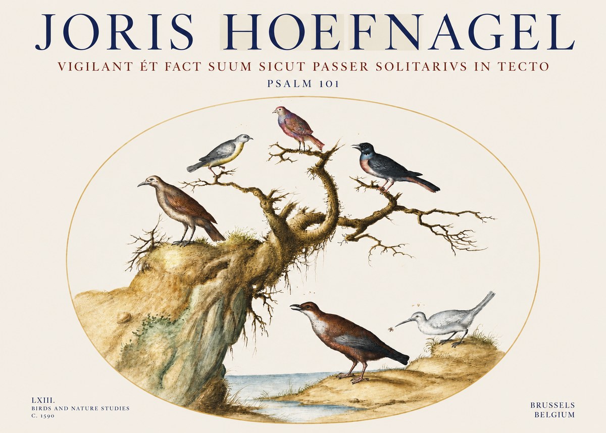 Joris Hoefnagel Vigilant Et Fact Suum Sicut Passer Solitarius in Tecto No3 - Poster