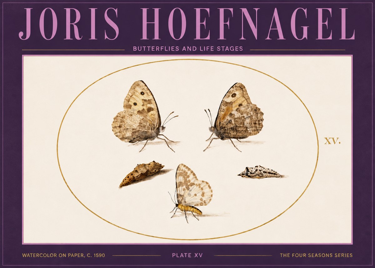 Joris Hoefnagel Butterflies and Life Stages - Plate Xv No4 - Poster