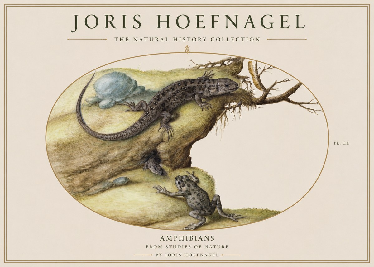 Joris Hoefnagel Amphibians from Studies of Nature No1 - Poster