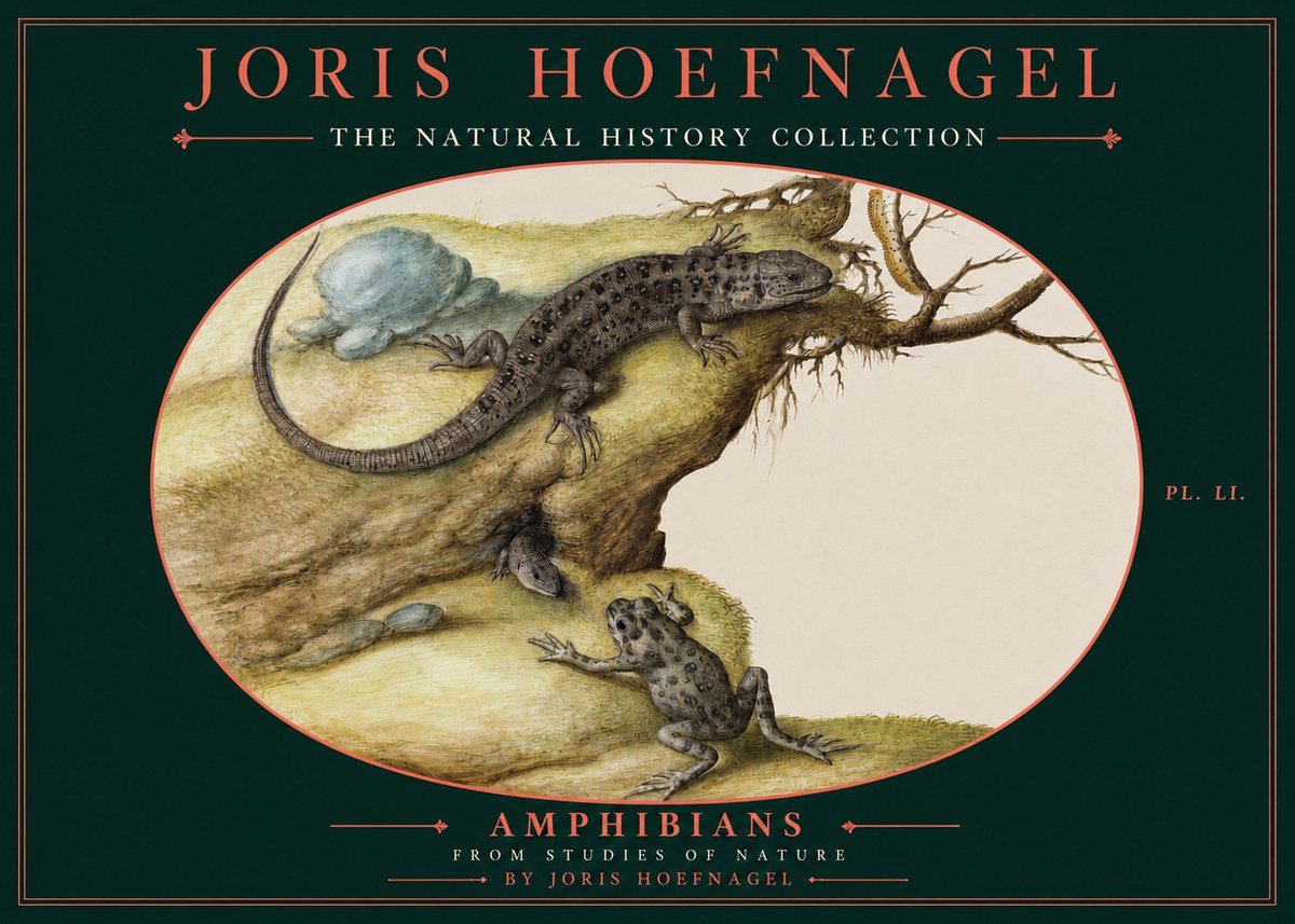 Joris Hoefnagel Amphibians from Studies of Nature No2 - Poster
