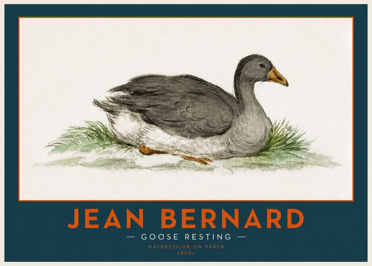 Jean Bernard Goose Resting No2 - Poster