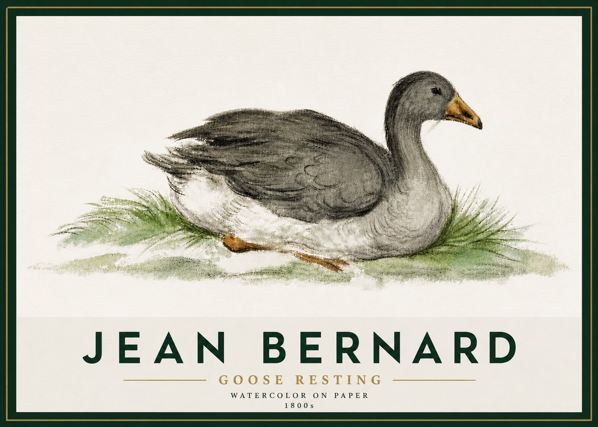 Jean Bernard Goose Resting No5 - Poster