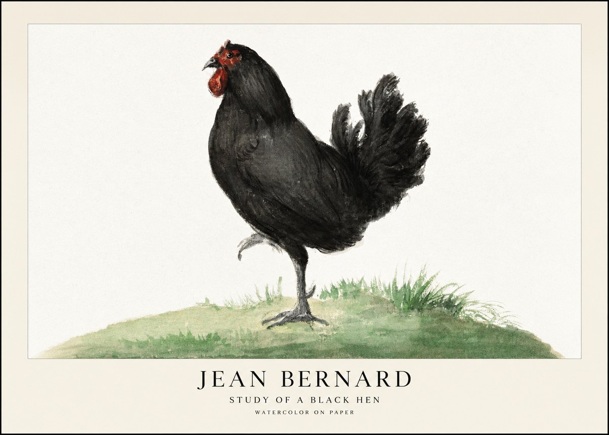Jean Bernard Study of a Black Hen No1 - Poster